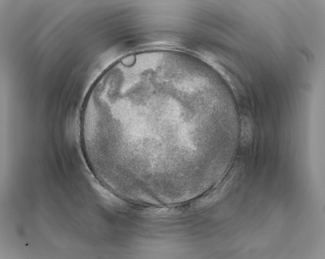 X0000112041474200908311226