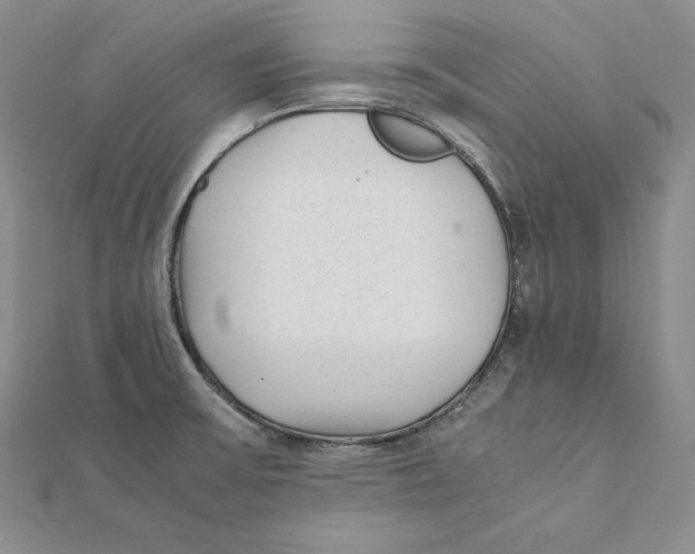 X0000112041475200908311226