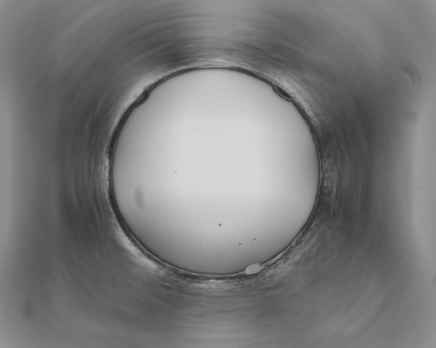 X0000112041476200908311226