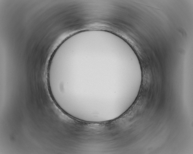 X0000112041478200908311226