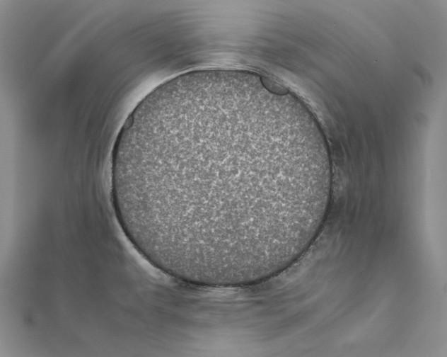 X0000112041479200908311226