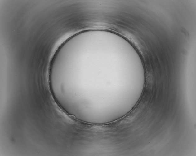 X0000112041480200908311226