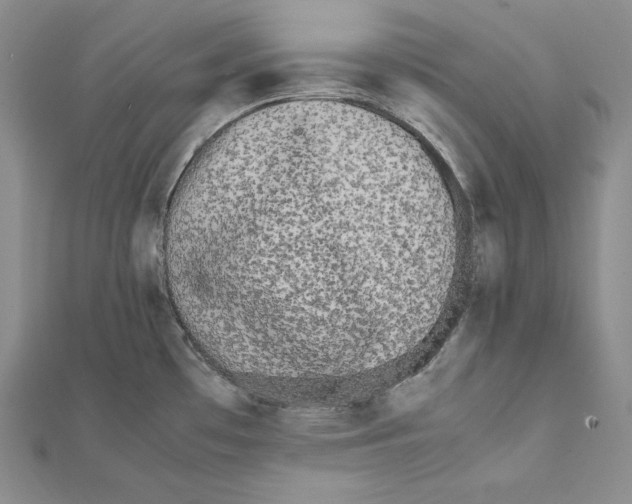 X0000112041481200908311226