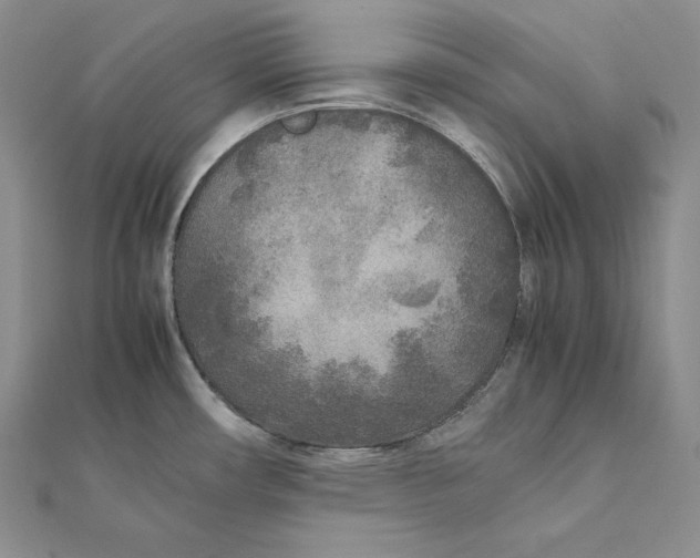 X0000112041482200908311226