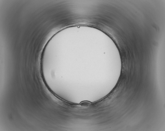 X0000112041483200908311226