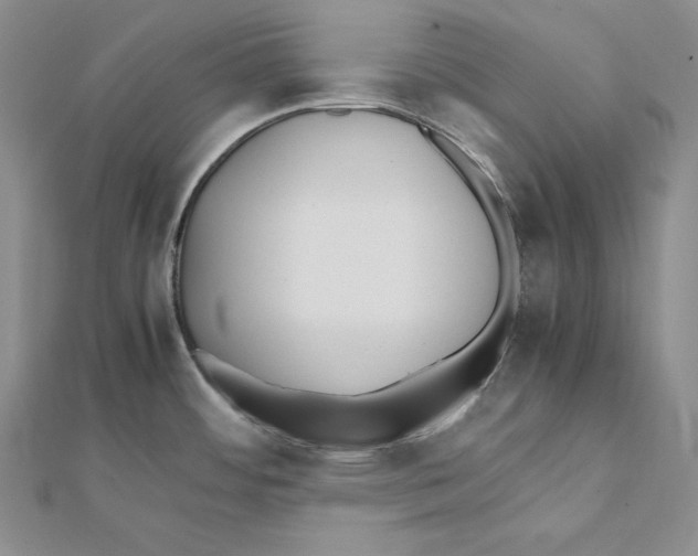 X0000112041484200908311226