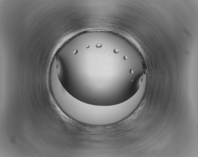 X0000112041485200908311226