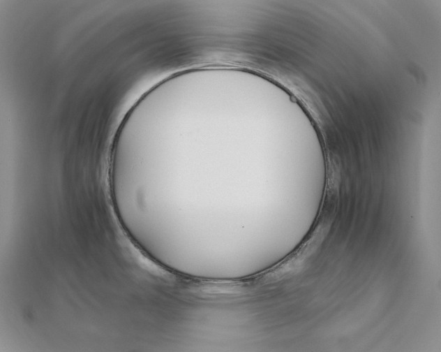 X0000112041486200908311226