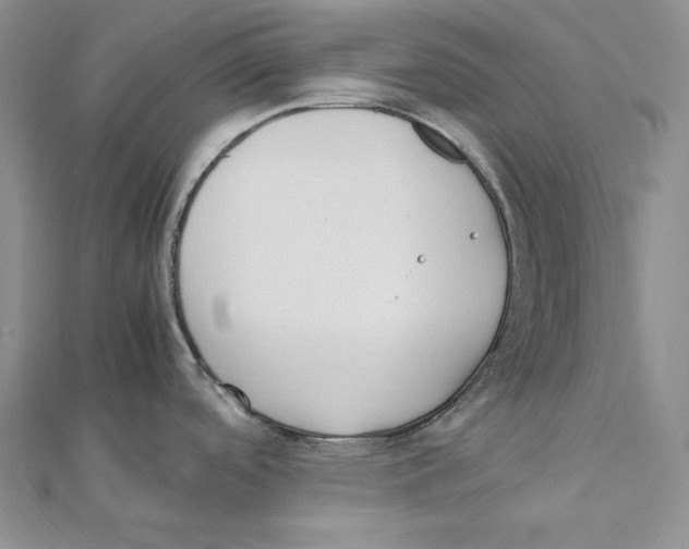 X0000112041488200908311226