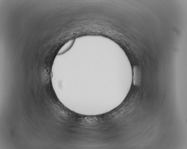 X0000112041491200908311225