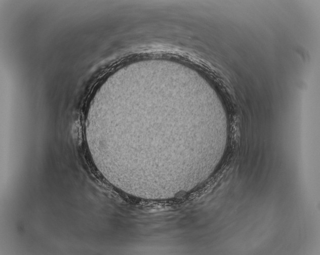 X0000112041493200908311225
