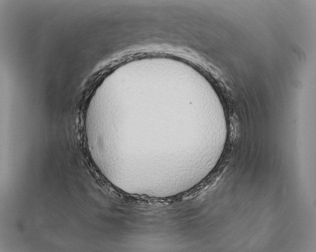 X0000112041494200908311225
