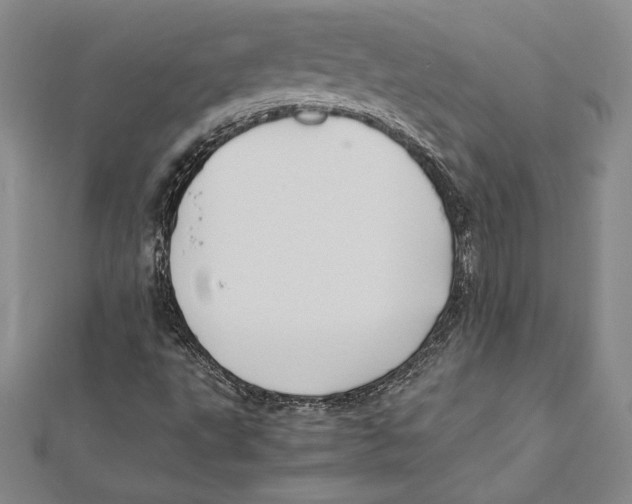 X0000112041495200908311225