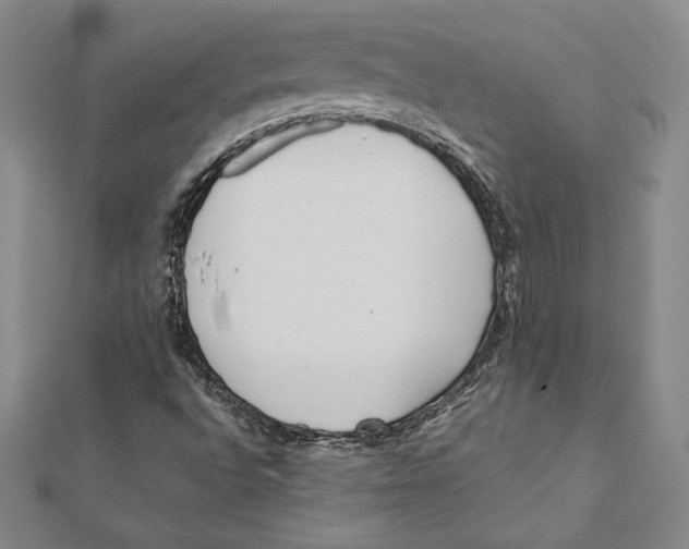 X0000112041496200908311225