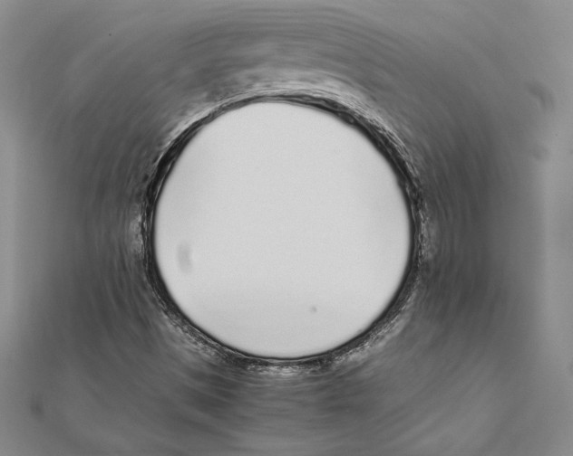 X0000112041497200908311225
