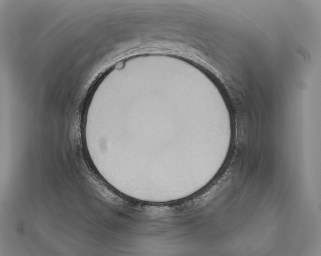 X0000112041498200908311225