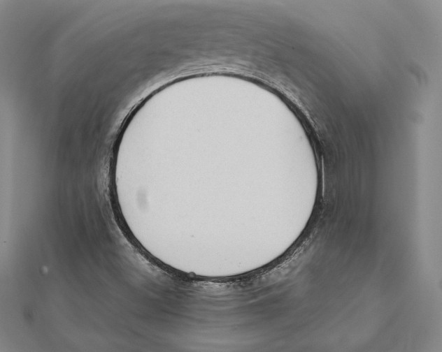 X0000112041500200908311225