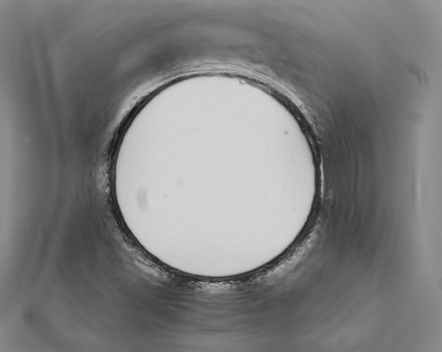 X0000112041501200908311225