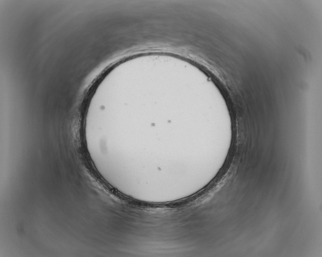 X0000112041502200908311225