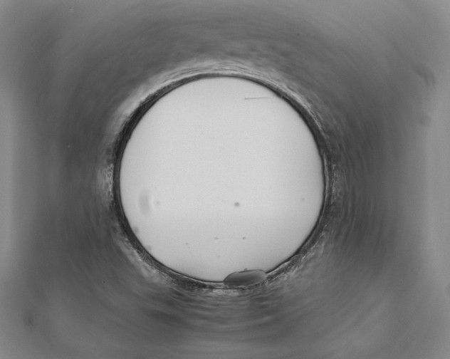 X0000112041503200908311225