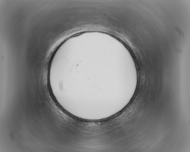 X0000112041504200908311225
