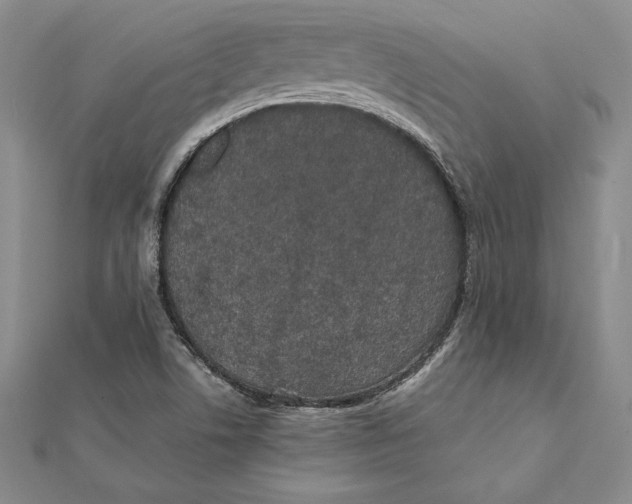 X0000112041506200908311225
