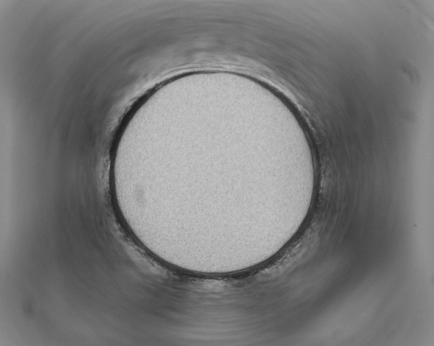X0000112041507200908311225