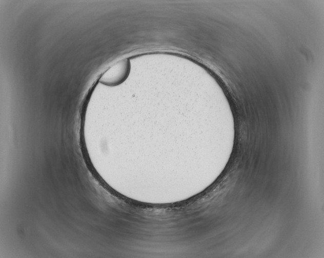X0000112041508200908311225
