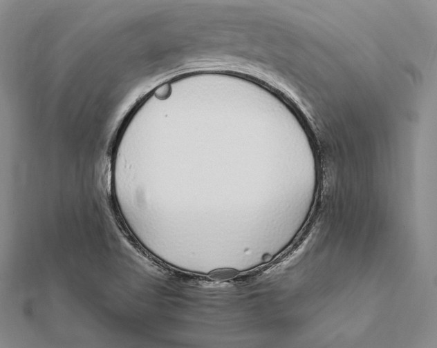 X0000112041509200908311225