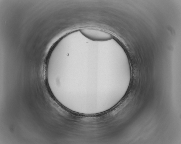 X0000112041510200908311225