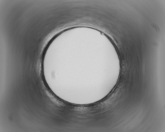 X0000112041511200908311225