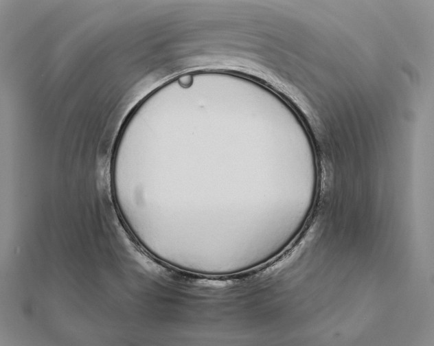 X0000112041513200908311225