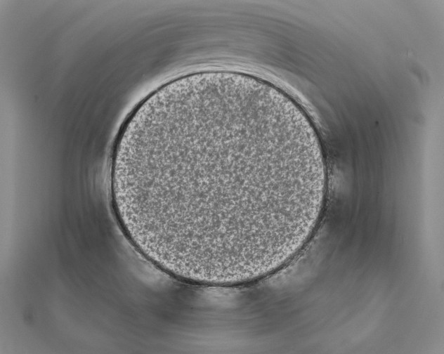 X0000112041514200908311225