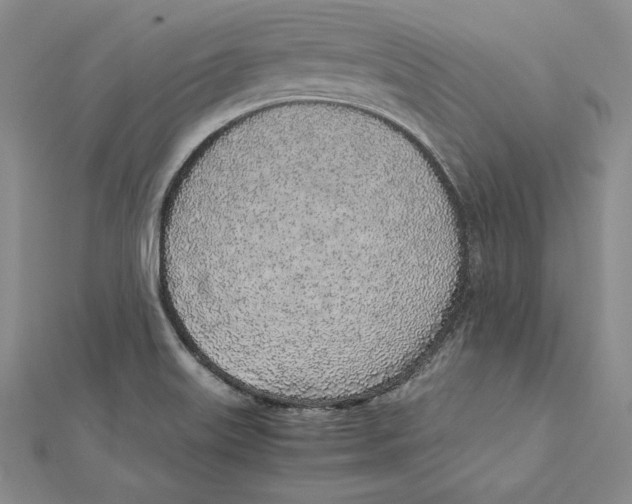 X0000112041515200908311225