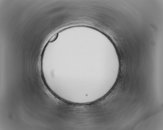 X0000112041516200908311225