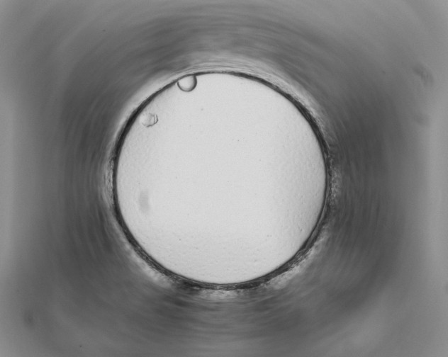 X0000112041517200908311225