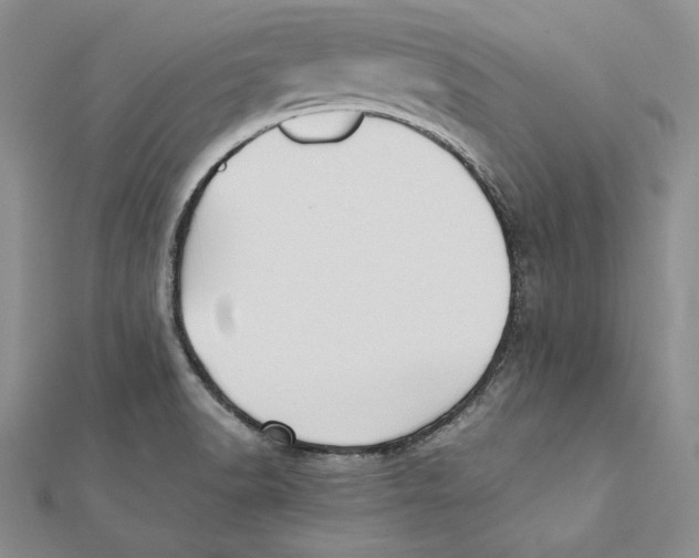 X0000112041518200908311225