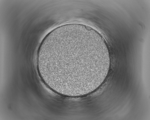 X0000112041519200908311225