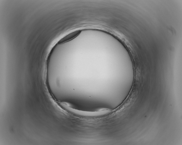 X0000112041520200908311225