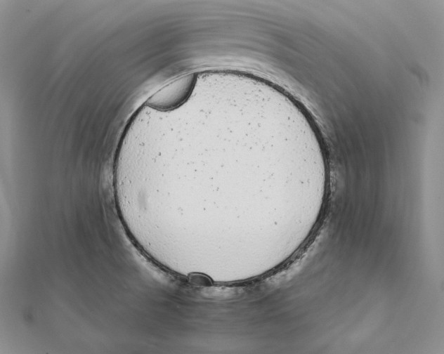 X0000112041521200908311225