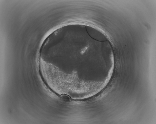 X0000112041522200908311225