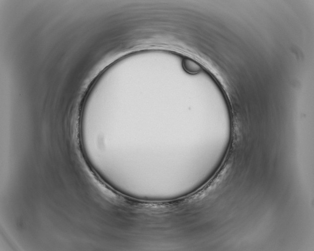 X0000112041525200908311225