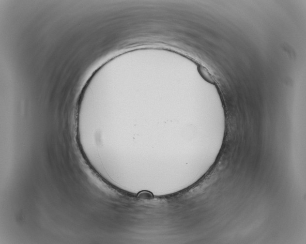 X0000112041526200908311226