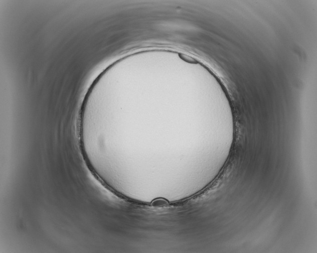 X0000112041527200908311226
