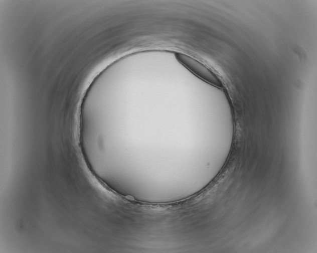 X0000112041528200908311226