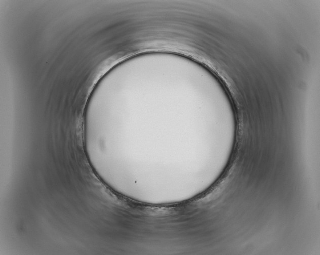 X0000112041529200908311226