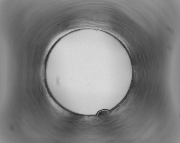 X0000112041531200908311226