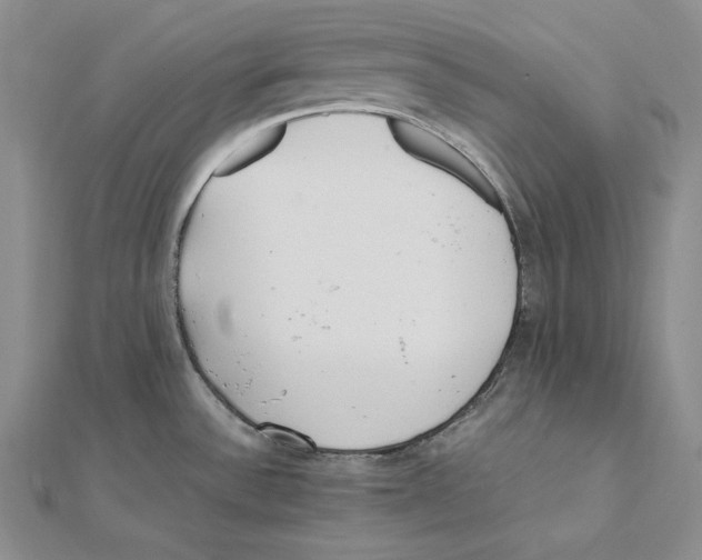 X0000112041532200908311226