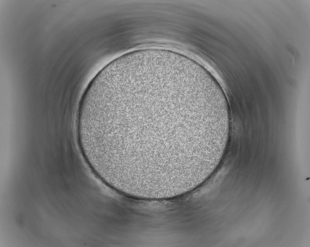 X0000112041533200908311226