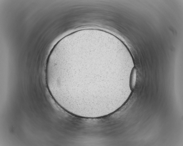 X0000112041534200908311226
